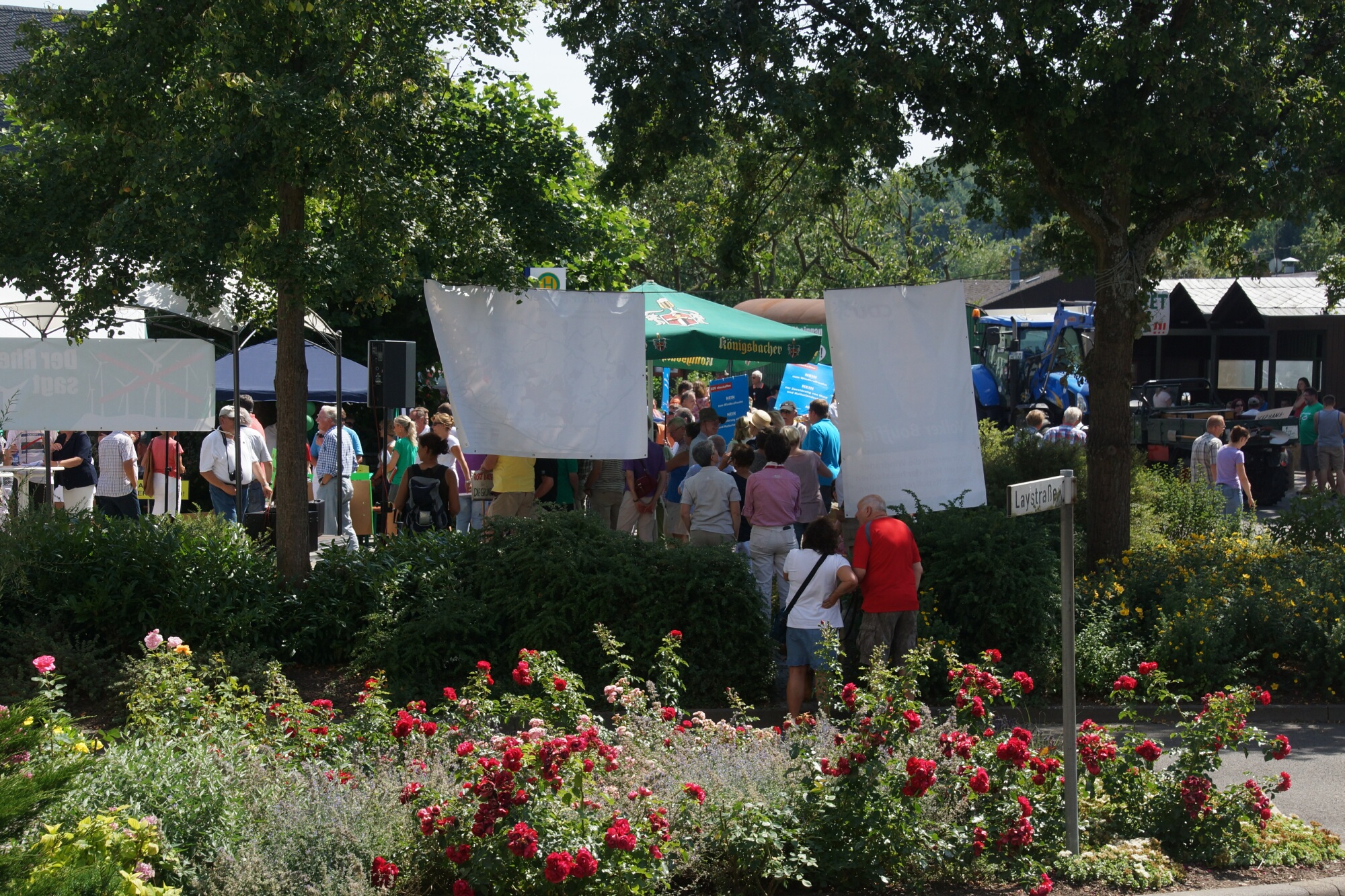 Stephanshausen DEMO Windwahn-20140719DSC08203.jpg